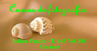 Cursos de fotografia a todos los niveles